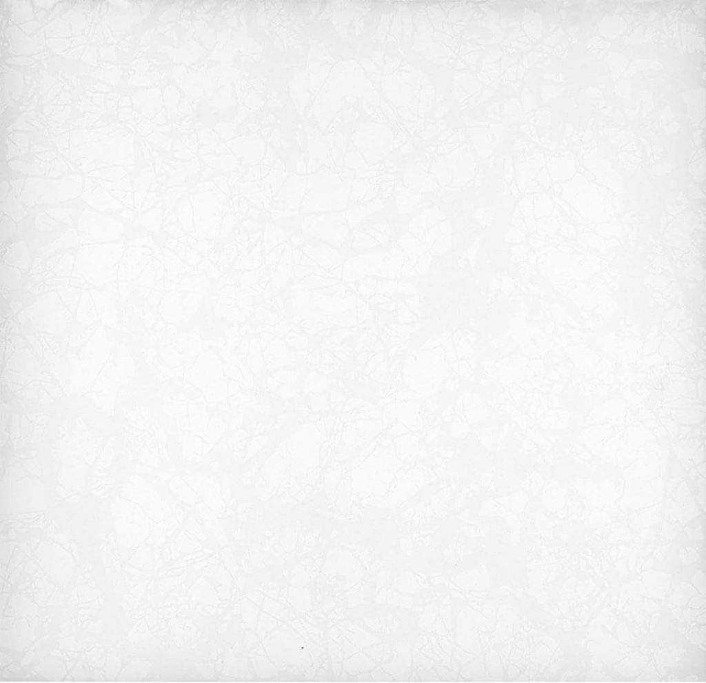 سرامیک نگین کاشی آسیا تولید شده در سایز 30*30 با لعاب براق، با جنس بدنه خاک سفید با جذب آب پایین یکی از طرح های پر فروش کارخانه کاشی آسیا می باشد. جهت ثبت سفارش سرامیک خاک سفید طرح نگین کاشی آسیا از نمایندگی کاشی آسیا در اصفهان با واحد فروش بازرگانی کاشی و سرامیک سئوسرام (کاشی خانه) 09138822264 تماس حاصل نمایید.