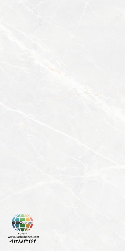 سرامیک آناستازیا سفید کاشی ایفاسرام تولید شده در سایز 120×60 با لعاب نانوپولیش و ضخامت 10-12 میلیمتر یکی از طرح های زیبای کاشی های تولیدی شرکت کاشی ایفاسرام اردکان می باشد.این سرامیک از جنس خاک سفید با دوام بوده و لعاب آن از جنس لعاب های نانوپولیش با شفافیت بالا می باشد.