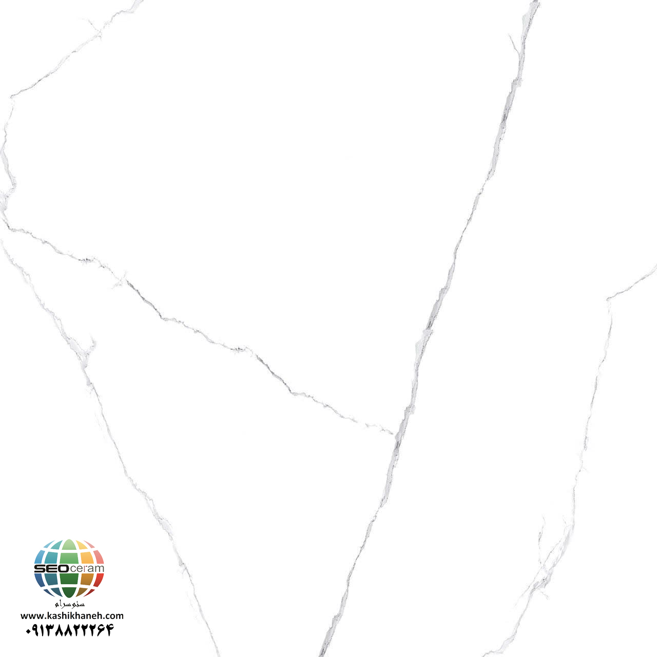سرامیک MT 183 کاشی ایفاسرام تولید شده در سایز 80×80 با لعاب نانوپولیش و ضخامت 11-12 میلیمتر یکی از طرح های زیبای کاشی های تولیدی شرکت کاشی ایفاسرام اردکان می باشد. این سرامیک از جنس خاک سفید با دوام بوده و لعاب آن از جنس لعاب های نانوپولیش با شفافیت بالا می باشد.