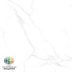 سرامیک پرسلان آلبانیا کاشی شمس تولید شده در سایز 80×80 با لعاب سوپرنانوپولیش و ضخامت 12 میلیمتر یکی از طرح های محبوب در بین انواع سرامیک کف این کارخانه پیشرو و مدرن می باشد. از ویژگی های بارز این محصول میتوان به جنس پرسلان بااستحکام بالا، جذب آب فوق العاده پایین(نزدیک به صفر)، مقاومت در لکه ها و آسیب و ... اشاره کرد، که این محصول رو تبدیل به یک انتخاب منحصر به فرد برای تمامی سلایق تبدیل میکند.