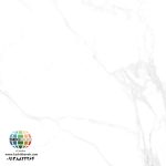 سرامیک پرسلان آلبانیا کاشی شمس تولید شده در سایز 80×80 با لعاب سوپرنانوپولیش و ضخامت 12 میلیمتر یکی از طرح های محبوب در بین انواع سرامیک کف این کارخانه پیشرو و مدرن می باشد. از ویژگی های بارز این محصول میتوان به جنس پرسلان بااستحکام بالا، جذب آب فوق العاده پایین(نزدیک به صفر)، مقاومت در لکه ها و آسیب و ... اشاره کرد، که این محصول رو تبدیل به یک انتخاب منحصر به فرد برای تمامی سلایق تبدیل میکند.