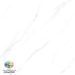 سرامیک پرسلان کامور کاشی پرسپولیس تولید شده در سایز 120×120 با لعاب مات ابریشمی و ضخامت 12 میلیمتر، یکی از چشمگیر ترین اسلب های تولید شده این کارخانه پیشرفته می باشد. از ویژگی های بارز این محصول میتوان به جنس پرسلان با استحکام بالا، جذب آب فوق العاده پایین(نزدیک به صفر)، مقاومت در برابر لکه ها و ... اشاره کرد، که این محصول رو تبدیل به یک انتخاب منحصر به فرد برای سلایق خاص تبدیل میکند.