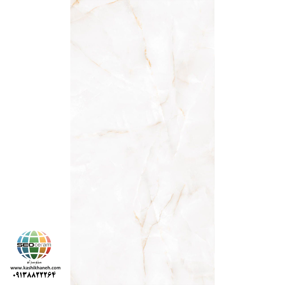 آلن2 سرامیک پرسلان آلن سفید کاشی ایفاسرام در سایز160×80 دارای لعاب نانوپولیش با سطح تخت با پس زمینه رنگ سفید و طرح سنگ مرمر و خاص تولید شده است. جنس بدنه این محصول پرسلان با جذب آب زیر 0.5 درصد و ضخامت 10 میلی متر می باشد. به منظور خرید این محصول از نمایندگی کاشی نایین در اصفهان و تهران با شماره 09138822264 تماس حاصل نمایید. .
