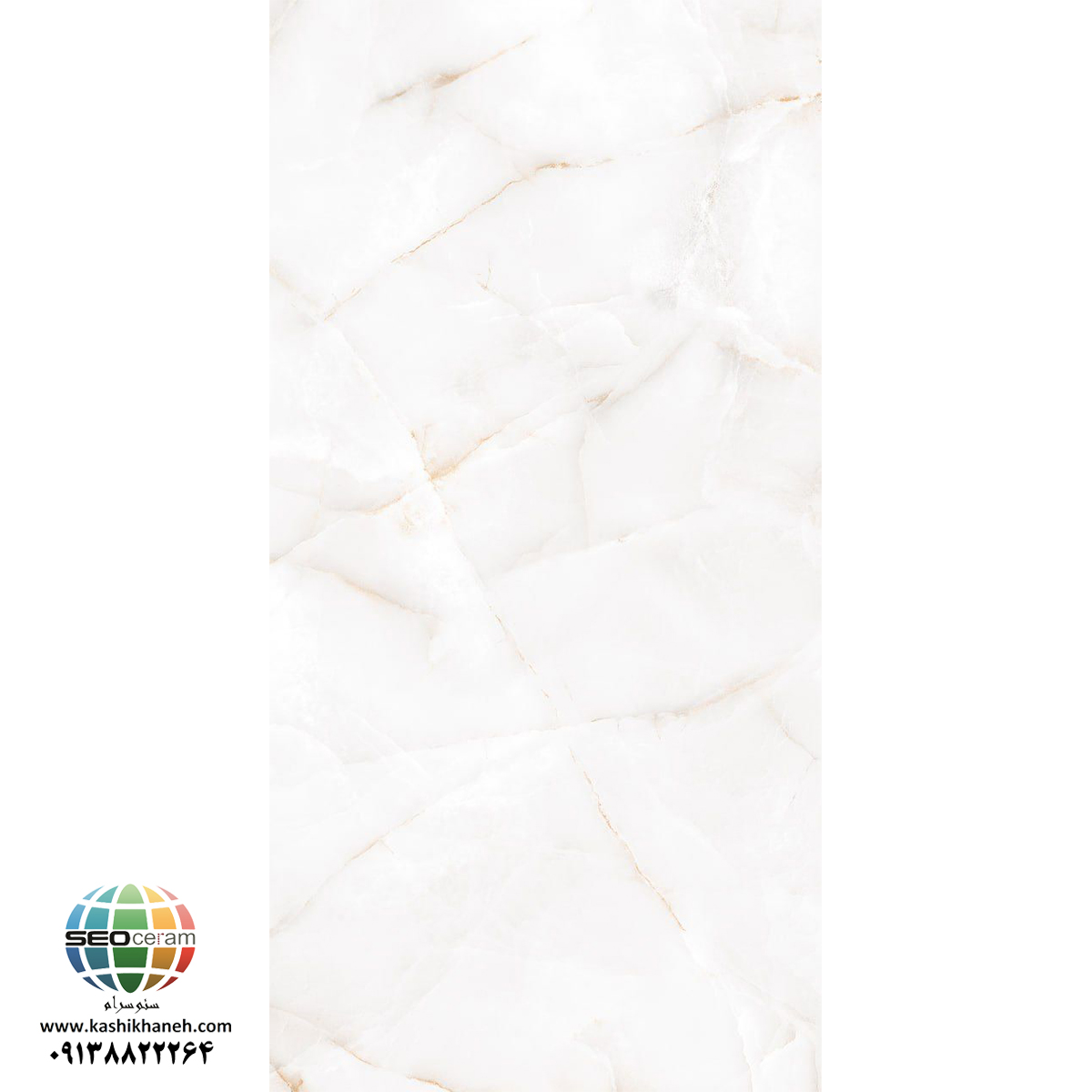 سرامیک پرسلان آلن سفید کاشی ایفاسرام در سایز160×80 دارای لعاب نانوپولیش با سطح تخت با پس زمینه رنگ سفید و طرح سنگ مرمر و خاص تولید شده است. جنس بدنه این محصول پرسلان با جذب آب زیر 0.5 درصد و ضخامت 10 میلی متر می باشد. به منظور خرید این محصول از نمایندگی کاشی نایین در اصفهان و تهران با شماره 09138822264 تماس حاصل نمایید. .