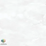 سرامیک لیزا خاک سفید پاسارگاد سرام آباده  معرفی محصول سرامیک لیزا خاک سفید پاسارگاد سرام آباده یکی از محصولات مدرن و پرکاربرد در صنعت کاشی و سرامیک است که با طراحی ساده و بافت ابری ملایم، توانسته توجه بسیاری از معماران و طراحان داخلی را به خود جلب کند. همان‌طور که در تصویر محصول مشاهده می‌شود، این سرامیک دارای زمینه‌ای روشن و یکدست با رگه‌های بسیار ملایم است که ظاهری آرام و مینیمال به محیط می‌بخشد. این ویژگی باعث می‌شود محصول برای افرادی که به دنبال طراحی‌های ساده، امروزی و ماندگار هستند، انتخابی ایده‌آل باشد. ابعاد 60×60 سانتی‌متری این سرامیک یکی از محبوب‌ترین سایزها در بازار ساختمان ایران است. این اندازه برای استفاده در انواع فضاهای مسکونی، تجاری و اداری مناسب بوده و اجرای آن نسبت به سایزهای بزرگ‌تر ساده‌تر است. همچنین تعداد مناسب بندها در این ابعاد، ترکیبی از زیبایی و سهولت نصب را ایجاد می‌کند. یکی از ویژگی‌های مهم این محصول، تنوع در نوع بدنه آن است. سرامیک لیزا خاک سفید پاسارگاد سرام آباده علاوه بر بدنه خاک سفید، با جنس بدنه خاک قرمز نیز تولید می‌شود. این موضوع باعث شده است تا مصرف‌کنندگان با توجه به نیاز پروژه، محل نصب و بودجه خود بتوانند گزینه مناسب را انتخاب کنند. بدنه خاک سفید معمولاً جذب آب کمتری داشته و کیفیت بالاتری ارائه می‌دهد، در حالی که نمونه‌های خاک قرمز به دلیل قیمت اقتصادی‌تر در پروژه‌های انبوه‌سازی و ساختمان‌های مسکونی کاربرد فراوانی دارند.