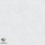  سرامیک پرسلان نارین مات کاشی آسیا 100×100 اگر به دنبال یک کفپوش مدرن، مقاوم و ماندگار هستید، سرامیک پرسلان نارین مات کاشی آسیا 100×100 می‌تواند یکی از بهترین انتخاب‌ها برای پروژه‌های ساختمانی و بازسازی باشد. سرامیک پرسلان نارین مات کاشی آسیا با بهره‌گیری از فناوری تولید پرسلان، استحکام بسیار بالایی دارد و در کنار طراحی ساده و رنگ خنثی، به‌راحتی با سبک‌های مختلف دکوراسیون داخلی هماهنگ می‌شود. سطح مات این سرامیک علاوه بر ایجاد ظاهری طبیعی و شیک، بازتاب نور را کاهش می‌دهد و باعث می‌شود فضای داخلی آرام‌تر و دلنشین‌تر به نظر برسد. رنگ روشن و بافت سنگی سرامیک پرسلان نارین مات کاشی آسیا نیز به بزرگ‌تر دیده شدن فضا کمک می‌کند و انتخاب مناسبی برای خانه‌های مدرن، دفاتر اداری، فروشگاه‌ها و پروژه‌های لوکس محسوب می‌شود.