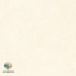 سرامیک پرسلان سمنت کرم مات کاشی آسیا 120×120 در سالهای اخیر استفاده از سرامیکهای پرسلانی با ابعاد بزرگ به یکی از مهمترین ترندهای طراحی داخلی تبدیل شده است. در میان این محصولات، سرامیک پرسلان سمنت کرم مات کاشی آسیا 120×120 به دلیل ظاهر مدرن، کیفیت ساخت بالا و رنگ خنثی، انتخابی مناسب برای پروژههای مسکونی، اداری و تجاری محسوب میشود. رنگ کرم روشن در کنار طرح سمنت یا بتن، فضایی آرام، مینیمال و امروزی ایجاد میکند و به راحتی با انواع دکوراسیون داخلی هماهنگ میشود.