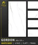 سرامیک خاک سفید گوردون براق کاشی ماهان سرام سرامیک خاک سفید گوردون براق کاشی ماهان سرام میتواند یکی از گزینههای قابل بررسی برای فضای موردنظر شما باشد. سرامیک خاک سفید گوردون براق کاشی ماهان سرام در ابعاد ۱۲۰×۶۰ سانتیمتر معرفی شده و در تصویر آن زمینهای سفید با رگههای ظریف طوسی و خاکستری روشن دیده میشود. ترکیب رنگی آرام و طرح سنگی آن امکان هماهنگی با سبکهای مختلف دکوراسیون، از طراحی مدرن و مینیمال تا فضاهای لوکس و امروزی را فراهم میکند. در ادامه، ویژگیهای ظاهری سرامیک خاک سفید گوردون براق کاشی ماهان سرام، کاربردهای پیشنهادی، مزایا، نکات نصب و نگهداری و مواردی را که هنگام خرید باید بررسی کنید، توضیح میدهیم. انتخاب کفپوش و پوشش دیوار یکی از مهمترین مراحل طراحی دکوراسیون داخلی است. رنگ، ابعاد، میزان انعکاس نور و طرح سطح سرامیک میتوانند تأثیر زیادی بر ظاهر نهایی یک محیط داشته باشند. اگر به دنبال محصولی با زمینه روشن، طرح سنگ مرمر و جلوهای براق هستید